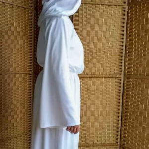 Leia senatorial cosplay dress,princessa leia costume